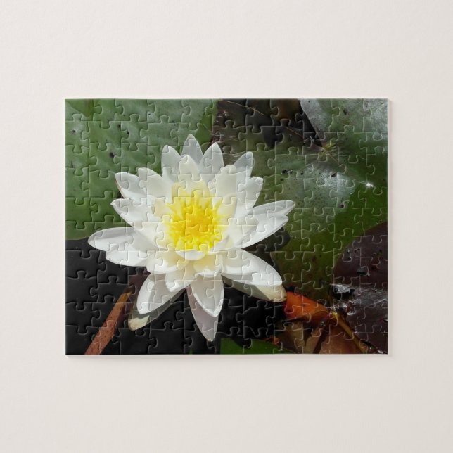 Puzzle Lys d'eau (Horizontal)