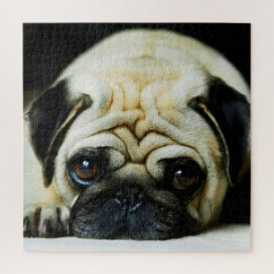 Puzzle M. Wrinkles