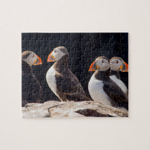 Puzzle Macareux