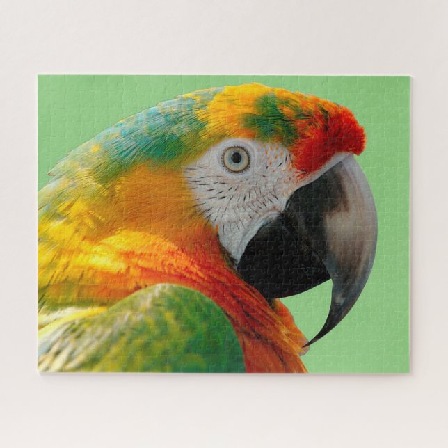 Puzzle Macaw (Horizontal)