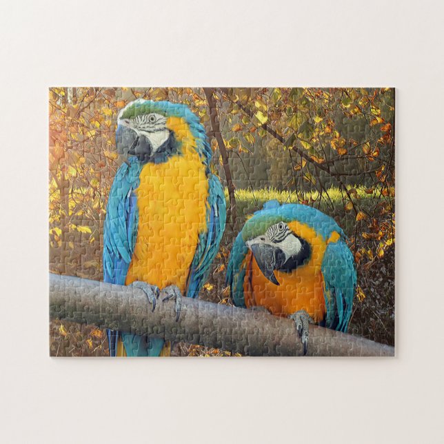 Puzzle macaws gais - perroquet mignon (Horizontal)