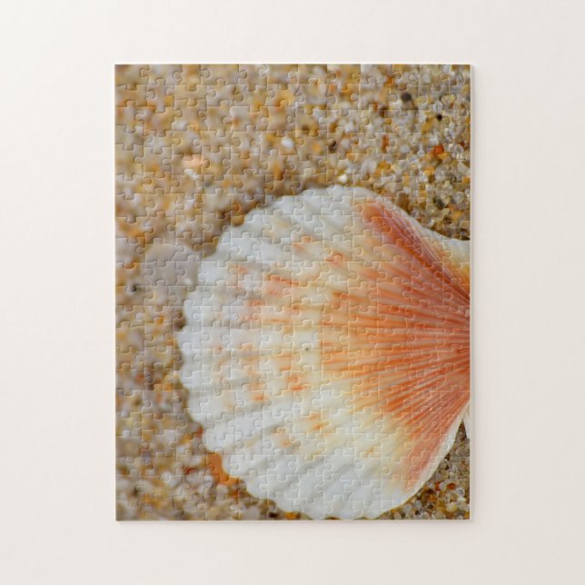 Puzzle Macro of Scallop Sea Shell in the Sand on Beach (Vertical)