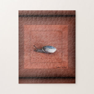 Puzzle Macro Photographie de Snail sur Terracotta