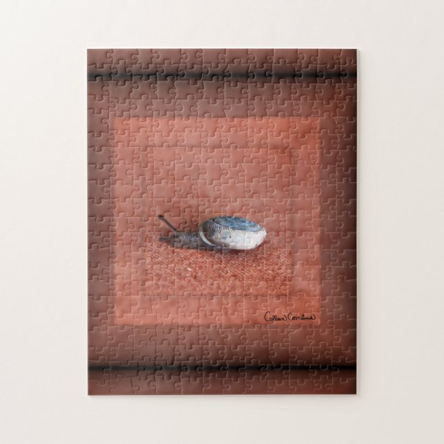 Puzzle Macro Photographie d'Escargot sur Terre Cuite (Vertical)