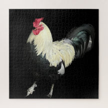 Magnificent Cockerel No 1