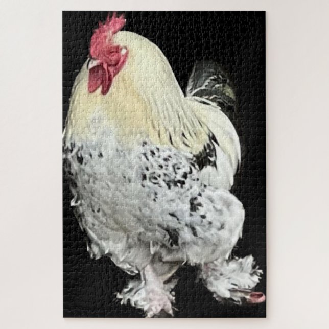 Puzzle Magnifique Cockerel No 2 (Vertical)
