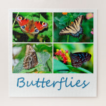 Magnifique Collage de papillons, 4 photos, 10 ans