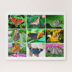 Puzzle Magnifique Collage de papillons, 9 photos, 10 ans