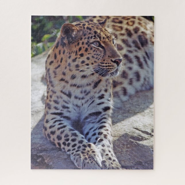Puzzle Magnifique léopard - (Vertical)
