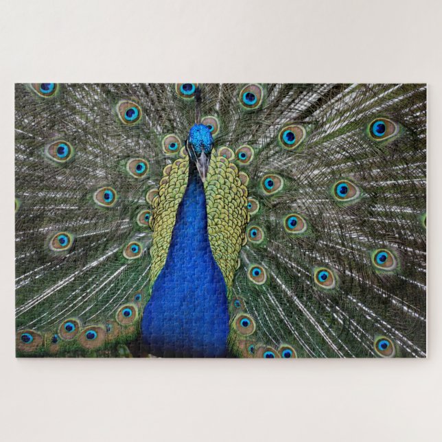 Puzzle Magnifique Paon Magnet (Horizontal)