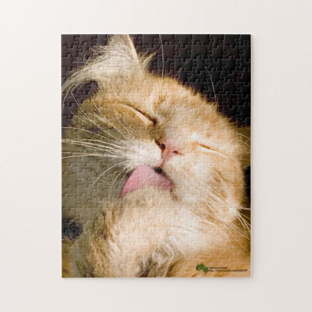 Puzzle Magnifique Preening Maine Coon Close Up Photograph (Vertical)