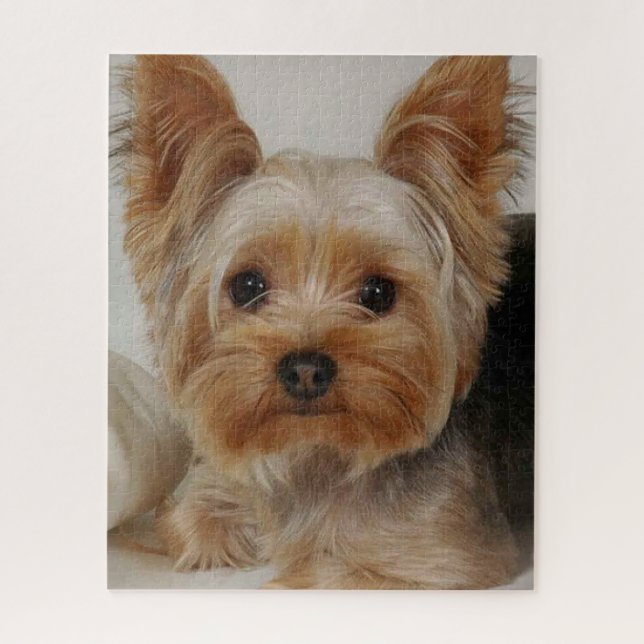 Puzzle Magnifique Yorkshire Terrier (Vertical)