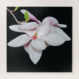 Puzzle Magnolia blanc