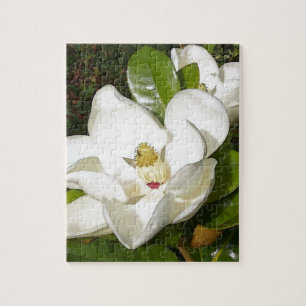Puzzle Magnolia blossom