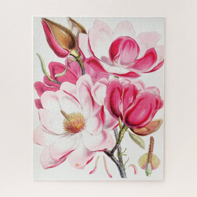 Puzzle Magnolia de Campbell (Vertical)