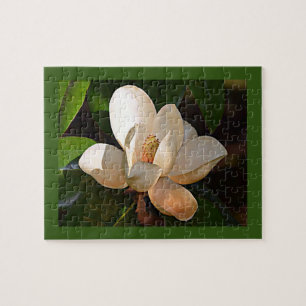 Puzzle Magnolia du Mississippi