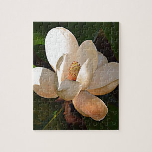 Puzzle Magnolia du sud de la Louisiane