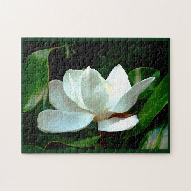 Puzzle Magnolia en gros plan (Horizontal)