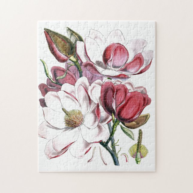 Puzzle Magnolia Fleur asiatique Vintage vieille illustrat (Vertical)