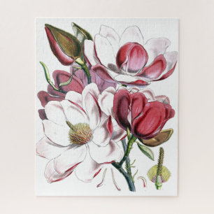 Puzzle Magnolia Fleur asiatique Vintage vieille illustrat