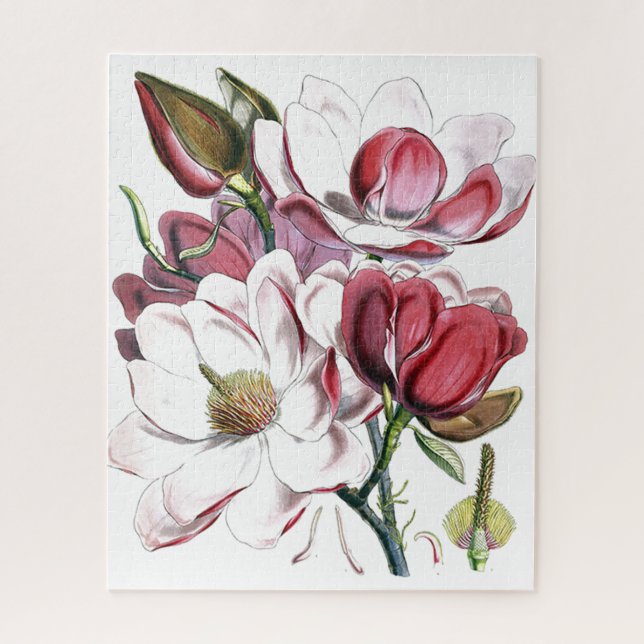 Puzzle Magnolia Fleur asiatique Vintage vieille illustrat (Vertical)