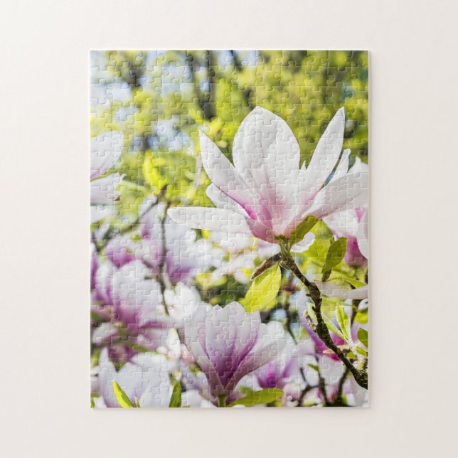 Puzzle Magnolia Flowers in Spring (Vertical)