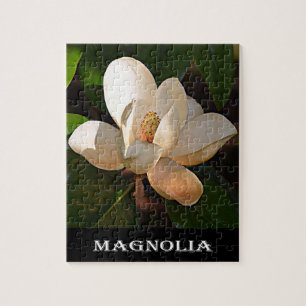 Puzzle Magnolia (le Mississippi et la Louisiane)