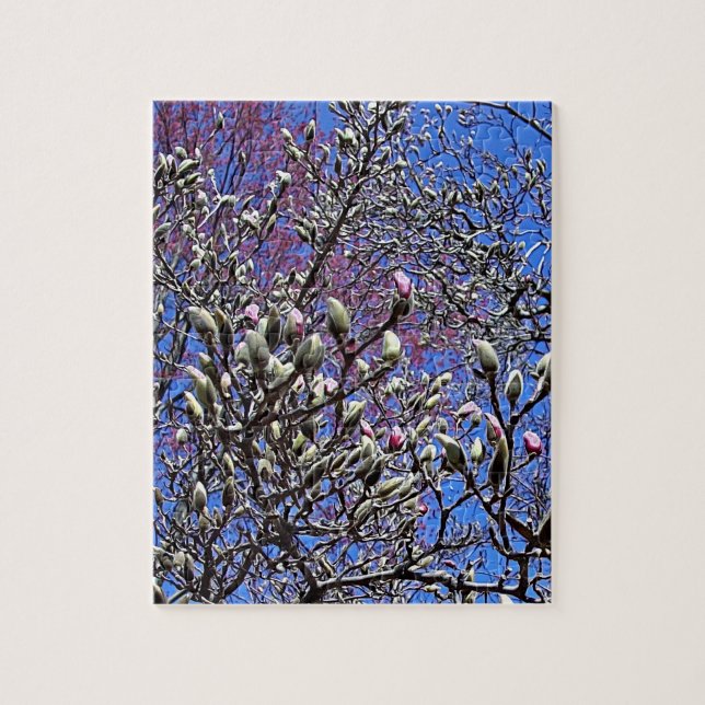 Puzzle Magnolia, Masse des Ours (Vertical)