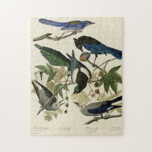 Puzzle Magpie Jays & Nutcracker Audubon Birds of America