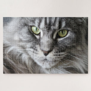 Puzzle Maine Coon Kitty Chat Mignonne animal amusant