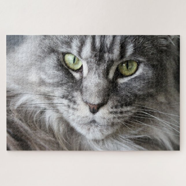 Puzzle Maine Coon Kitty Chat Mignonne animal amusant (Horizontal)