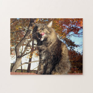 Puzzle Maine Coon Kitty Chat Mignonne animal amusant