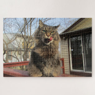 Puzzle Maine Coon Kitty Chat Mignonne animal amusant