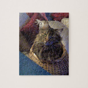 Puzzle Maine Coon Tabby Cat