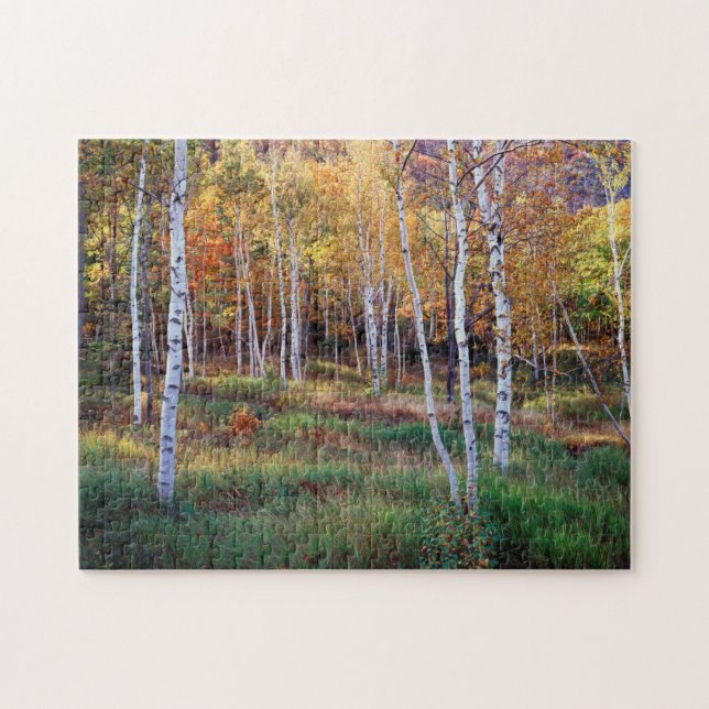 Puzzle Maine, Parc national d'Acadia, Automne (Horizontal)