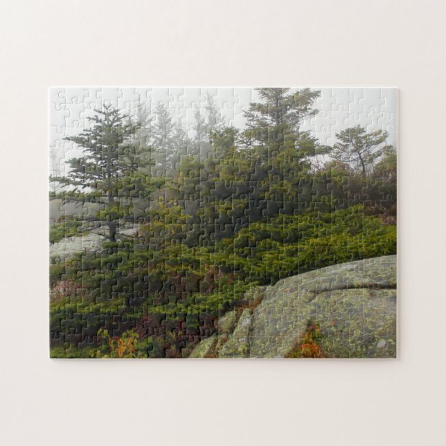 Puzzle Maine Pine Boulders Acadia Photo (Horizontal)