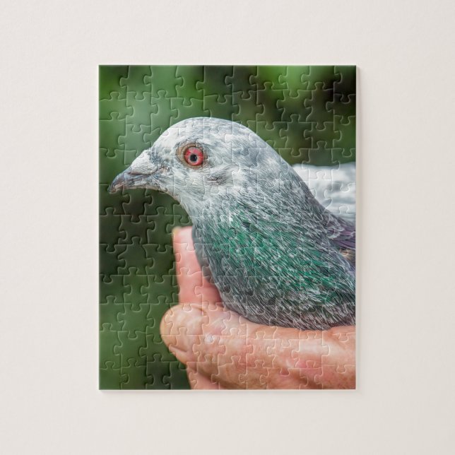 Puzzle Mains tenant le pigeon d'emballage outside.JPG (Vertical)