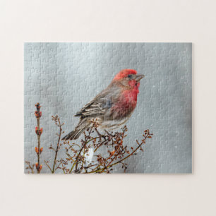 Puzzle Maison Finch en Neige - Photo originale