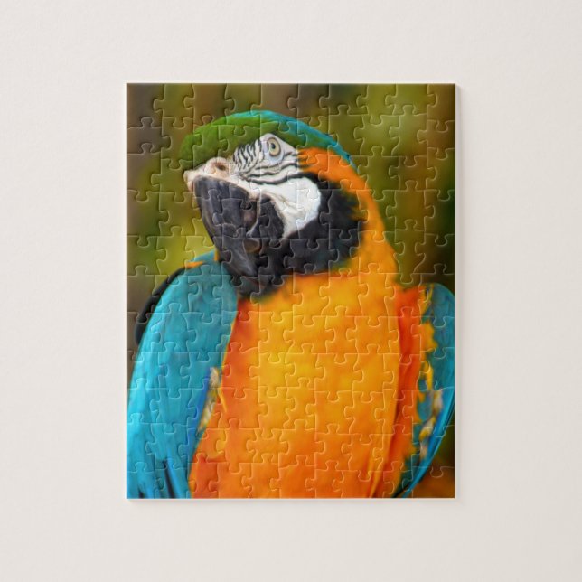Puzzle Majestic Macaw (Vertical)