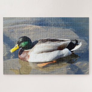 Puzzle Mallard Duck