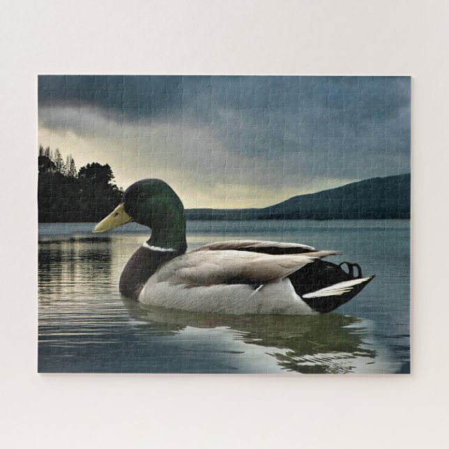 Puzzle Mallard Duck (Horizontal)