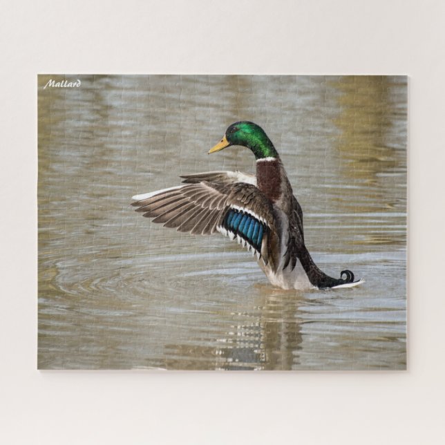 Puzzle Mallard Duck (Horizontal)