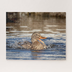 Puzzle Mallard Duck à Downing Park