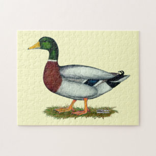 Puzzle Mallard Duck Drake