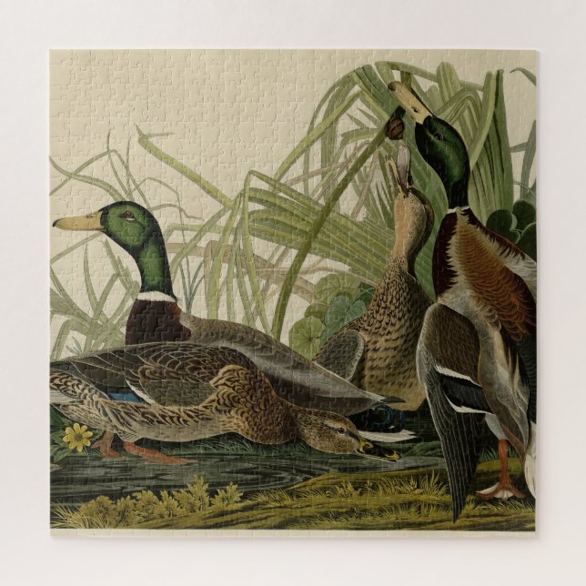Puzzle Mallard Duck from Audubon's Birds of America (Vertical)
