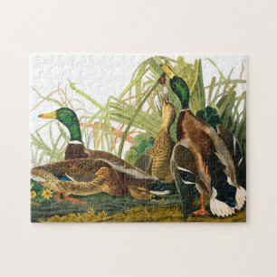 Puzzle Mallard Duck par John James Audubon