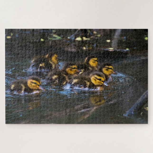 Puzzle Mallard Ducklings (Horizontal)