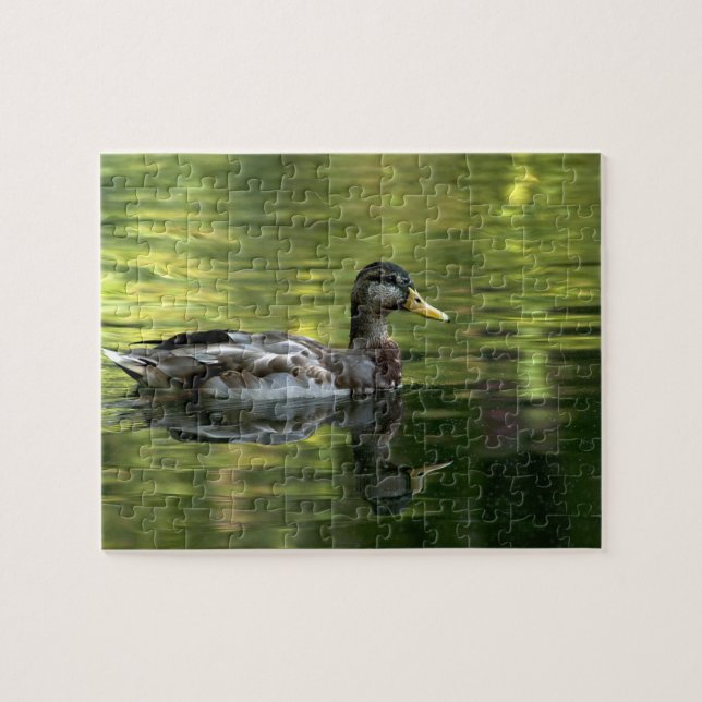 Puzzle Mallard En Miroir Sur Eau Verte (Horizontal)
