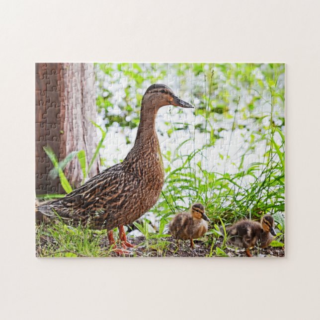 Puzzle Mallard et Ducklings par Shirley Taylor (Horizontal)
