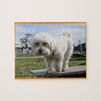 Puzzle Maltais